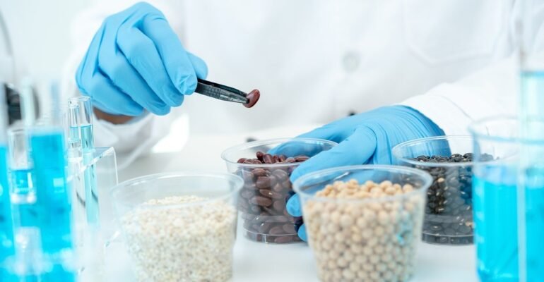 Audits & Global Food Safety Initiative GFSI